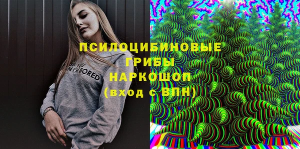 кокс Алексин