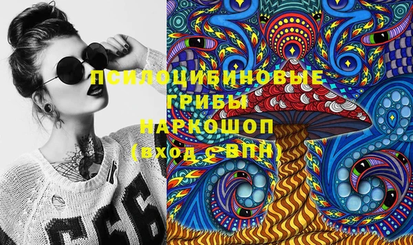 кокс Алексин