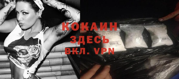 кокс Алексин