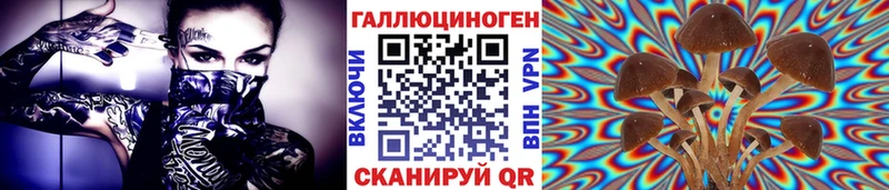 Псилоцибиновые грибы GOLDEN TEACHER  mega вход  Игра  где купить наркотик 